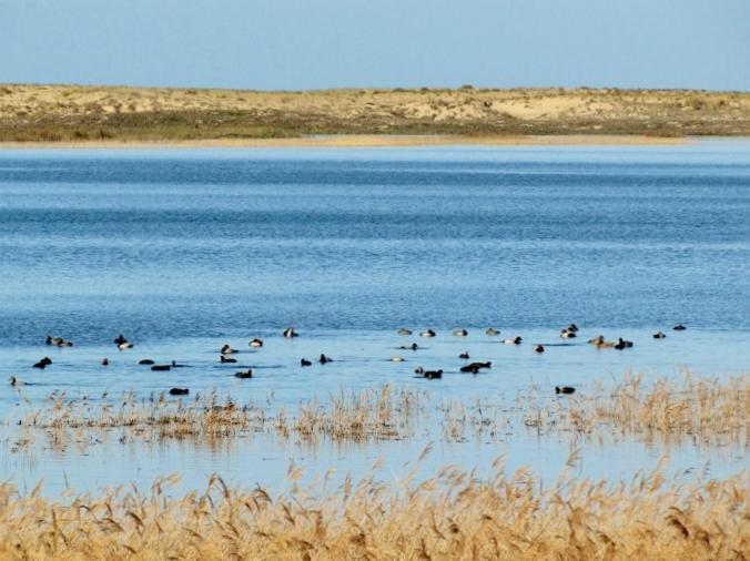 La Gallega Valdoviño Eksteriør billede